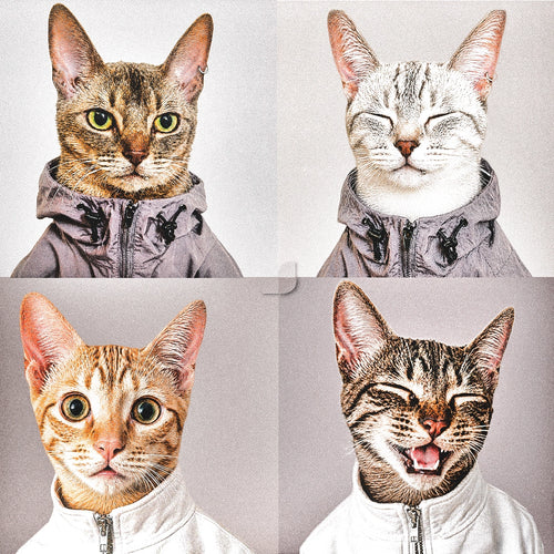 Playera Oversize "Gatriel y Gato Amoroso" FRE3 SPIRITS